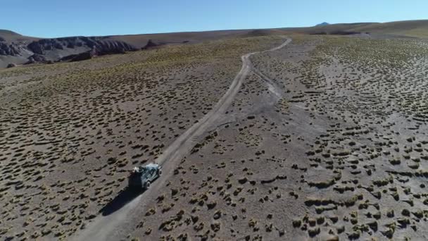 Letecká drone scéně van 4 x 4 jízdy na trati terénní na zlaté krajina, vysoké hory s travinami a staré kameny. Galan sopka exkurze, Antofagasta de la Sierra, Catamarca, Argentina. — Stock video