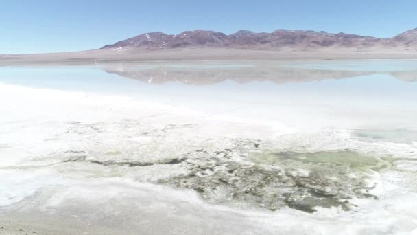Drone aereo della laguna di Diamante nel vulcano Galan ad Antofagasta de la Sierra, provincia di Catamarca, Atacama, Argentina. Macchina fotografica che si muove su e indietro alla scoperta di refelctions paesaggio su acqua salata . — Video Stock