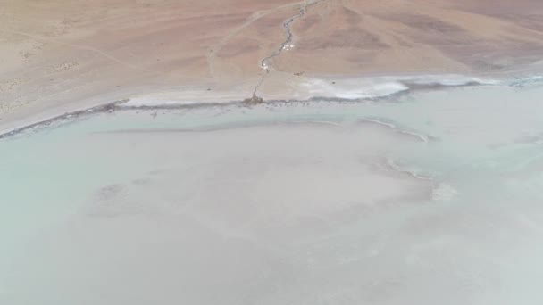 Antofagasta de la Sierra, platolarının Atacama, Catamarca Eyaleti, Arjantin nehir ağzı hava dron sahne detay. Diamante Galan volkan, tuzlu lagün. Fotoğraf makinesi ilerlemeye ve aşağıya doğru. — Stok video