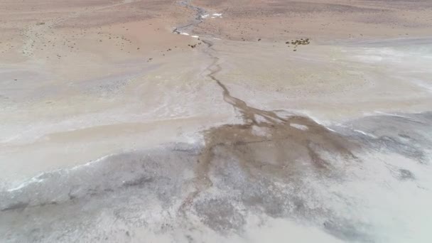 Dettaglio scena drone aereo di piccola foce del fiume, Antofagasta de la Sierra, Puna Atacama, provincia di Catamarca, Argentina. Laguna di Diamante, vulcano Galan. Telecamera in avanti sul fiume. Nessuna vegetazione . — Video Stock