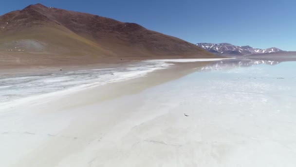 Antenn drönare scen i Diamante lagunen i Galan vulkan, Antofagasta de la Sierra, provinsen Catamarca, Puna Atacama, Argentina. Kameran rör sig snabbt, framlänges nära golvet över Salta cracker vatten. — Stockvideo