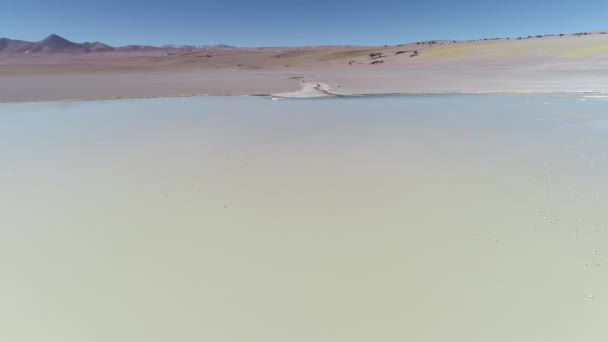 空中无人机现场泻湖与火烈鸟在荒芜的五颜六色的山。从一般的观点下降到关闭的鸟类行走。Antofagasta de la Sierra, Catamarca, Argentina — 图库视频影像