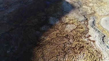 Bitki örtüsü ve tuz çiçekli Senital hava meandrik nehir çizimleri. Soyut doğa kalıpları. Antofalla, Catamarca, Arjantin