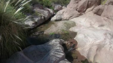 Aşınmış eski taşlar ve doğal bitki örtüsü ile doğal ortamda küçük dere ve göletler boyunca yürüyüş. Quebrada de Hualco, San Blas, Rioja province, Arjantin