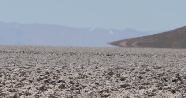 Detalhe do piso salar com efeito óptico de neblina de calor. Montanhas e base de cone Arita aparadas no fundo. Arizaro Salar, Salta Argentina . — Vídeo de Stock