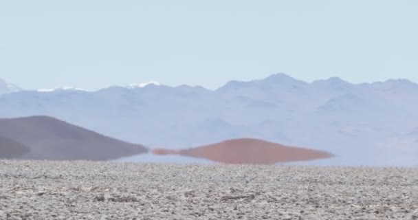 Heat Haze optikai hatás és a délibáb a fehér salar vörös hegyek a háttérben. Arizaro salar, Salta, Argentína — Stock videók