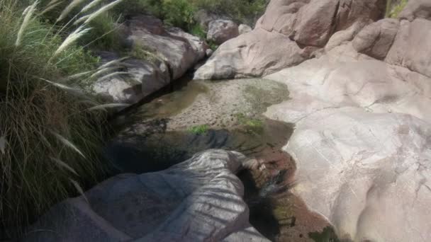 Vandra längs liten bäck och dammar i naturlig miljö med eroderade gamla stenar och inhemsk vegetation. Quebrada de Hualco, San Blas, Rioja-provinsen, Argentina — Stockvideo