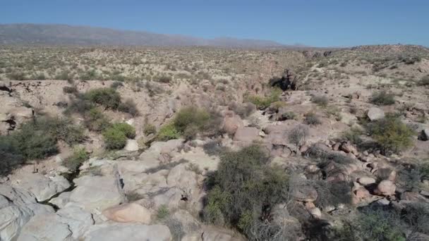 Kanyon ile kuru manzara havadan drone sahne arazi bölen. Arka planda yükselen dağlara kamera. Rioja Eyaleti Arjantin Hualco kanyon. Yerli monte bitki örtüsü — Stok video