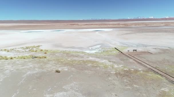 Aerial drone scene of wide white salar with circular blue lagoons, sea eyes, in Tolar Grande, Salta, Argentina — Stock Video