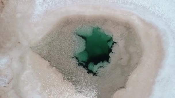Senital aerial drone scene of blue lagoon at wide white salar. Ascending from water to general abstract nature image, natural drawings. Sea eyes, ojos de mar at Arizaro salar — Stock Video