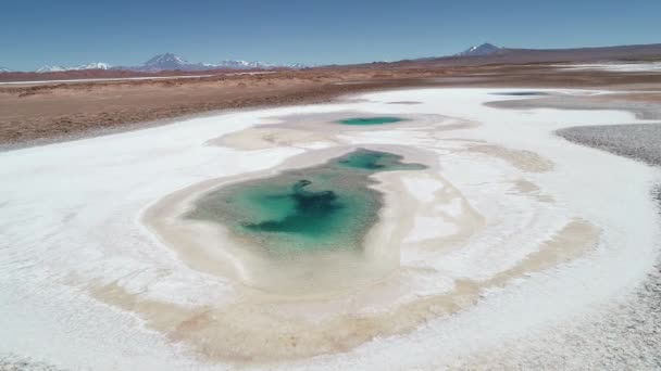 Escena aérea de drones volando sobre la superficie del agua de la laguna azul, ojos de mar, en el salar blanco. Ojos de mar en Arizaro salar. Paisaje montañoso desértico al fondo. Tolar grande, Salta, Argentina — Vídeos de Stock