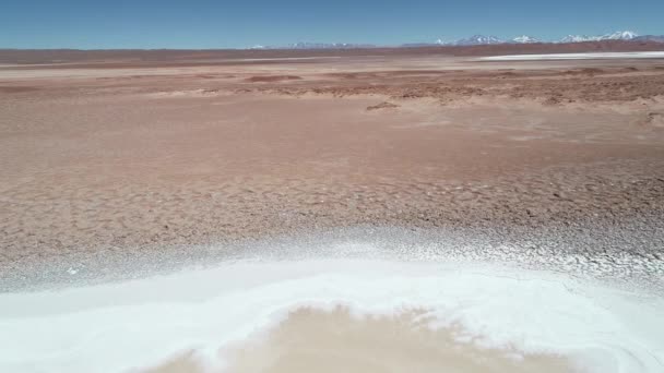 Beyaz salar kayalık kıyı ile mavi lagünler boyunca uçan hava drone sahne. Ojos de mar, deniz gözleri, Arizaro salar'da. Stromatolit yapılar gibi kayalık. Tolar grande, Salta, Arjantin — Stok video