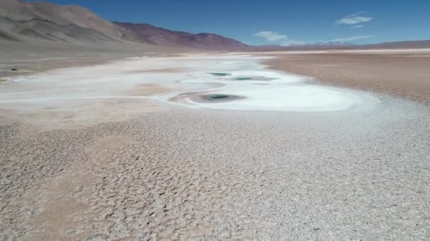 Aerial drone scene flying along salar to senital view of blue rocky pond. Ojos de mar, sea eyes, at Arizaro salar. Desertic mountainous landscape at background. Tolar grande, Salta, Argentina — Stock Video