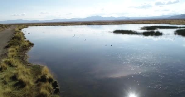 Εναέρια πετούν πάνω από τη λίμνη στο ηλιοβασίλεμα με πάπιες και πουλιά που πετούν και κολυμπούν γύρω από την επιφάνεια. Χουάπατ, άμπρα πάμπα, Χουτζουί, Αργεντινή — Αρχείο Βίντεο