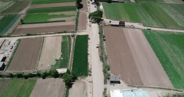 Top aerial drone scene of small local crops gravel road crossing at the middle. Checkerboard shape, Maimara, Jujuy, Argentina — Stock Video