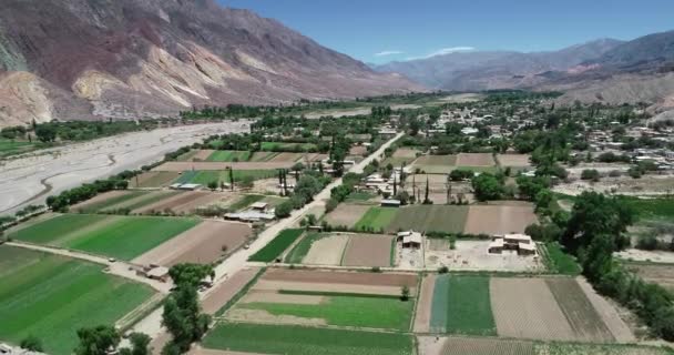 Antena Drone sceny małego lokalnego rolnictwa w dolinie rzeki w pustynnym krajobrazie. Zielona Dolina otoczona suchym wielokolorowy łańcuch górski. Paleta del Pintor, Maimara, Jujuy, Argentyna — Wideo stockowe