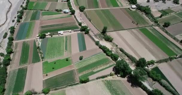 Escena aérea superior de drones de pequeños cultivos locales con un río meandrico rocoso limitando al lado. Forma de tablero de ajedrez verde natural abstracto, Maimara, Jujuy, Argentina — Vídeo de stock