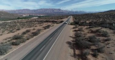 Karavan ın havadan drone sahnesi ve kaktüs dolu bir arazide 4x4 sürüş. Threchocereus. Kamp tatilleri. Salta, Arjantin