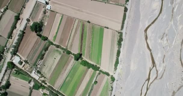 Escena aérea superior de drones de pequeños cultivos locales con un río meandrico rocoso limitando al lado. Descubriendo el valle verde con cadenas secas de montaña multicolor. Maimara, Jujuy, Argentina — Vídeo de stock