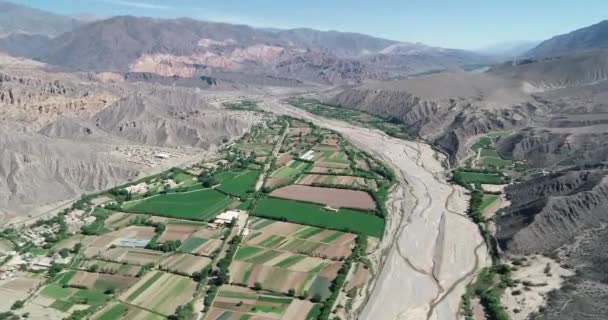 Cena de drones aéreos de pequena agricultura local no vale do rio em paisagem deserta. Vale grade verde cercado por cadeia montanhosa multicolor seca. Paleta del Pintor, Maimara, Jujuy, Argentina — Vídeo de Stock