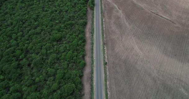 Pohled na depředpovězné pole versus přírodní park. Poškození pro zemědělské účely. Průmysl versus ekologie. Salta, Argentina — Stock video