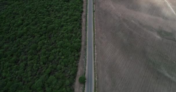 Vista superior do campo desmatado versus parque natural. Danos para fins agrícolas. Indústria versus ecologia. Salta, Argentina — Vídeo de Stock