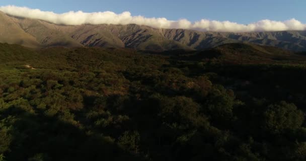 Szene aus der Luft, wie Drohnen über dichten Wäldern fliegen. Bergkette mit Längswolke am hohen Berg im Hintergrund. san javier, traslasierra, cordoba. — Stockvideo