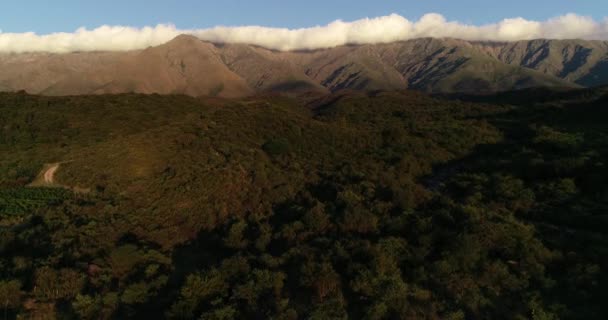 Scena aerea drone che sale sopra fitti boschi. Catena montuosa con nube longitudinale a backgorund. Fiume e pista nascosti nel paesaggio. San Javier, Traslasierra, Cordoba — Video Stock