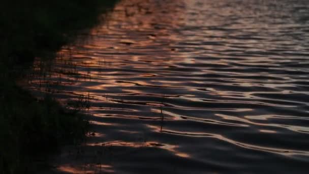 Langzame motie silhouet van de kust met de motie van het water rimpelt bij zonsondergang. Abstracte scène van contrast kleuren beweging, zwart blauw goud en zilver. Trapiche, San Luis, Argentinië — Stockvideo