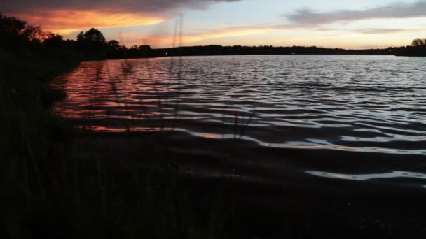 Slow motion of colorful sunset at vegetated coast showing silhouette of grasses. Movement of ripples and waves with contrast colors. Trapiche, San Luis, Argentina — Stockvideo