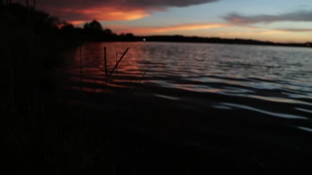 Movimento lento di tramonto colorato sulla costa sabbiosa mostrando silhouette di erbe. Movimento di increspature e onde con colori contrastanti. Trapiche, San Luis, Argentina — Video Stock