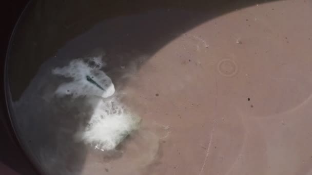 Reazione chimica al rallentatore con bolle e schiuma di roccia semipreziosa e acido. Lucidatura chimica delle rocce per lavori lapidari. La Toma, San Luis, Argentina — Video Stock