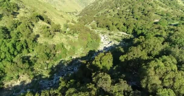 Scène aérienne de drone volant dans une vallée escarpée avec bassin fluvial rocheux et bois au coucher du soleil. Tourisme, paysages naturels, Villa Merlo, Argentine — Video