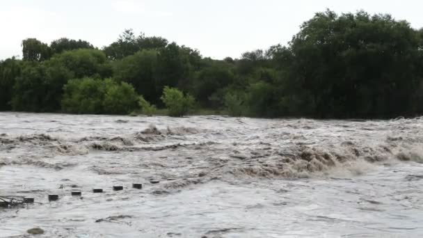 Lambat gerak kuat kekerasan sungai melewati jembatan, konstruksi. Hutan di latar belakang. Banjir di Mina Clavero, tumbuh sungai, Cordoba, Argentina — Stok Video