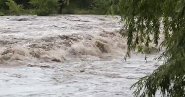 Strong brown turbulent river, with waves and foam. Trush and brunches floating throught current. Flood in Mina Clavero. At first plane tree brunches, woods at background. Cordoba, Argentina — Stockvideo