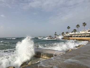 Paphos kasabasının kıyı bölgesi, Kıbrıs adasının batı kesiminde.