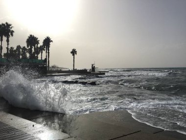 Paphos kasabasının kıyı bölgesi, Kıbrıs adasının batı kesiminde.