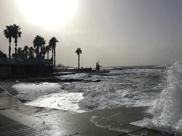 Het Kustgebied Van Paphos Het Westelijke Deel Van Cyprus — Stockfoto