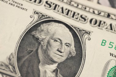 Birleşik Devletler doları. Makro atış. Seçici odak.