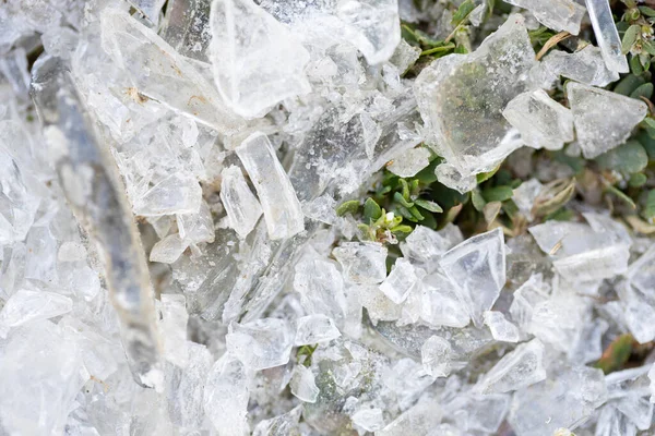 Gebroken Glas Het Groene Gras Macro Injectie — Stockfoto