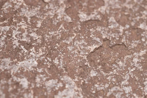 Abstract Background Stones Macro Shot Selective Focus — Stock Photo, Image