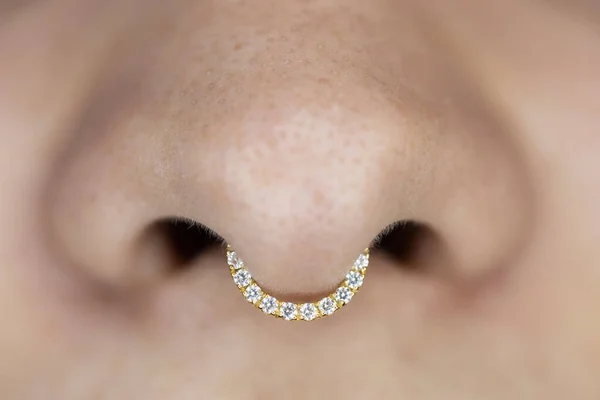 鼻孔穿刺隔 漂亮的穿孔珠宝 宏观射击 有选择的重点 — 图库照片#