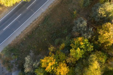 Sonbahar ormanında yol. Sonbahar manzarası, yollar ve güzel renkli ağaçlar. Hava görünümü.