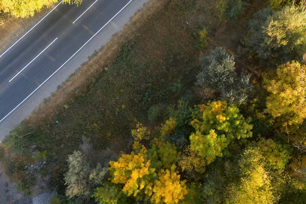 Droga Jesiennym Lesie Jesienny Krajobraz Drogi Piękne Kolorowe Drzewa Widok — Zdjęcie stockowe