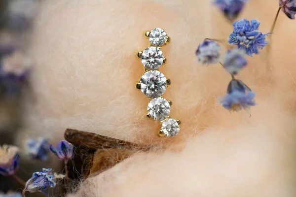 Beaux Bijoux Piercing Macro Shot Concentration Sélective — Photo
