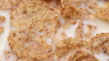 Sağlıklı kahvaltı için mısır gevreği ve süt. Makro çekim.