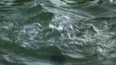 Çeşmede renkli su şekli. Makro çekim.