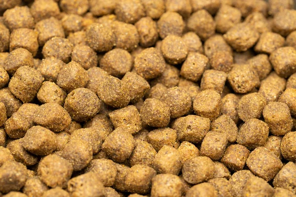 Dried Brown Pet Food Background Macro Shot — Stock Photo, Image