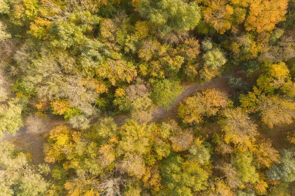 Aerial View Road Beautiful Autumn Forest Beautiful Landscape Empty Rural — Stock Photo, Image