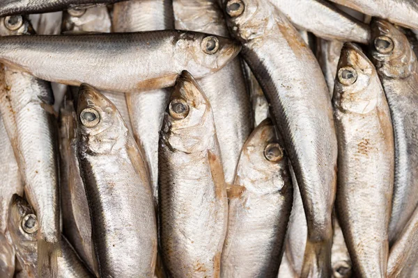 Ikan Asin Dengan Rempah Rempah Dan Rempah Rempah Banyak Ikan — Stok Foto